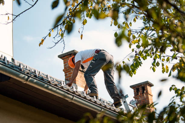 Professional Roofing Contractor in Long Lake, IL