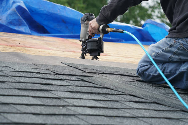 Best Roof Repair Services  in Long Lake, IL