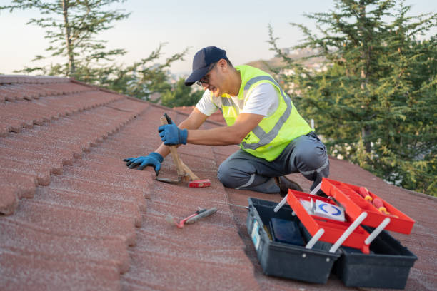 Best Commercial Roofing Services  in Long Lake, IL