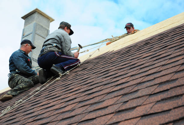 Best Flat Roof Repair Services  in Long Lake, IL
